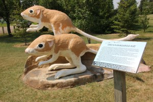 The Ord's kangaroo rat sculpture in Leader, SK, where I realized my undying love of pavement. 