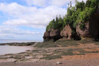 The ocean floor is heavy on the mud here. 