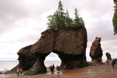 Some of the Hopewell Rocks. 