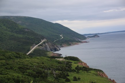 The view from up here. 