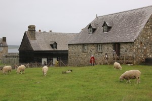 As far as I could tell, the sheep were real and not costumed parks staff, but who really knows?